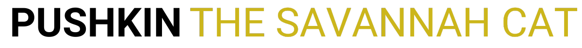 Pushkin lThe savanna cat logo